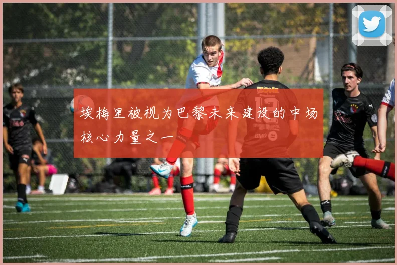 埃梅里被视为巴黎未来建设的中场核心力量之一